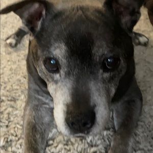 Meet your Posher, Tomas